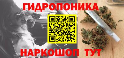 прущие грибы Мариинск