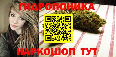 прущие грибы Мариинск