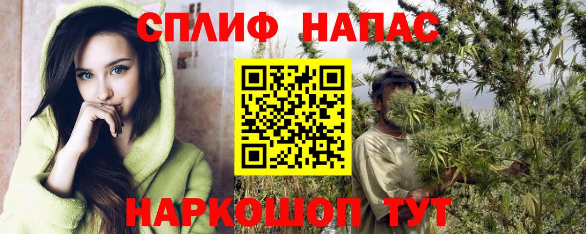 Каннабис планчик  Шишки марихуана семена  Шишки марихуана VHQ  Советский  МАРИХУАНА марихуана  Вход с VPN 